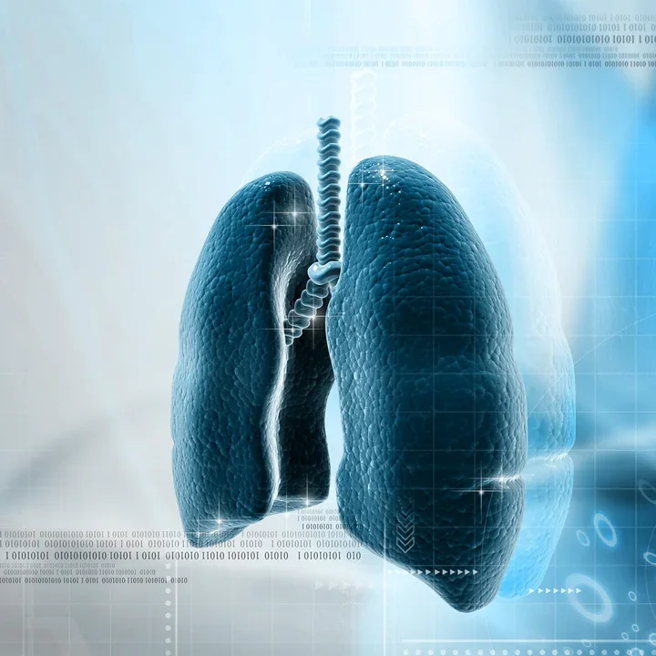 Digital lung