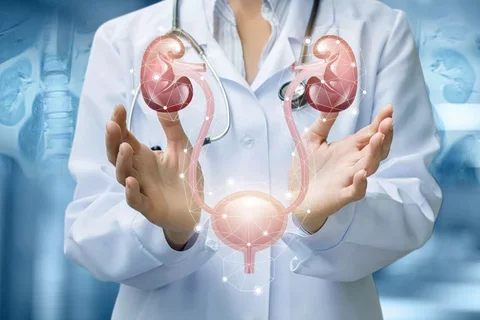 Kidney bladder doctor