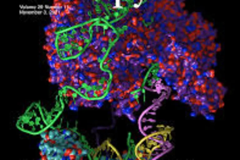 Journal cover: Molecular Therapy Vol. 32, No. 6 (June 2024)