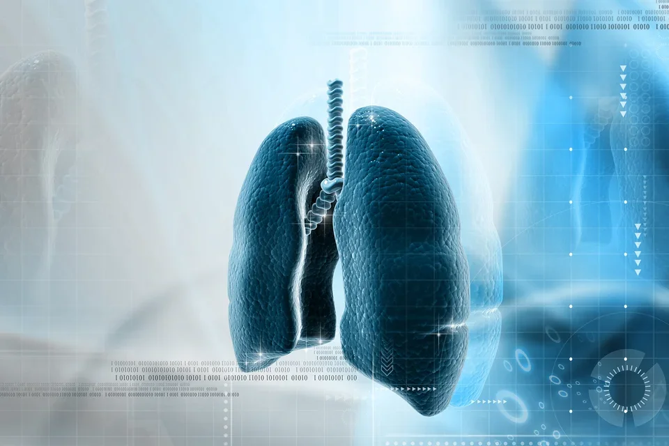 Digital lung