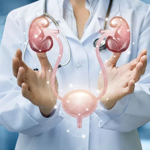 Kidney bladder doctor