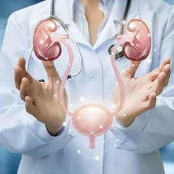 Kidney bladder doctor