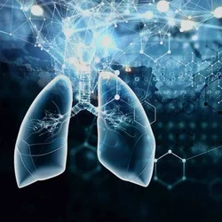 a stylized x-ray image of lungs